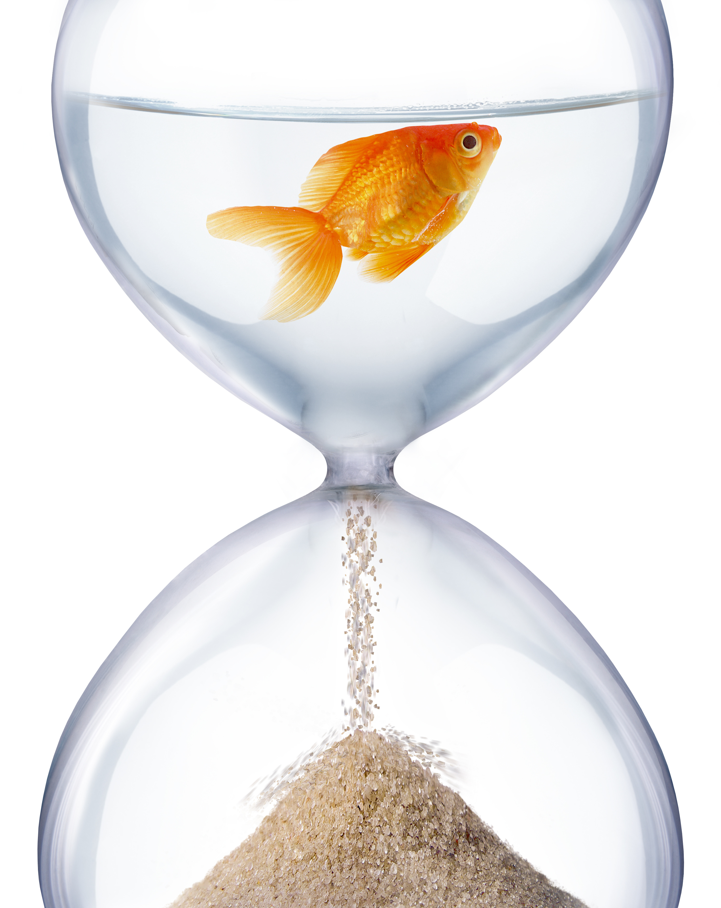 COVID-19 Boosting Cashflow for Businesses-Eligibility-check-and-fact-sheet