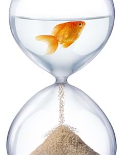 COVID-19 Boosting Cashflow for Businesses-Eligibility-check-and-fact-sheet