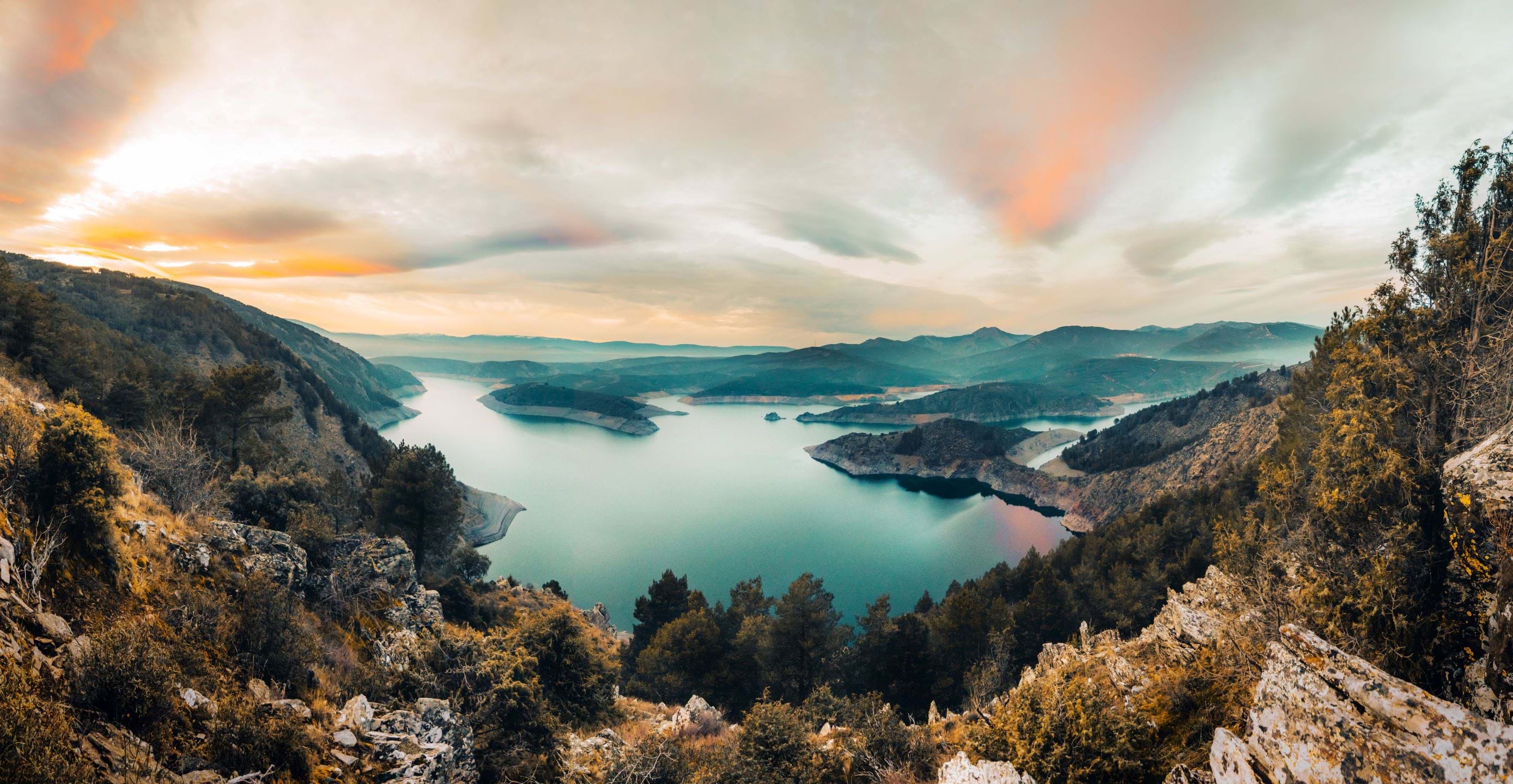 Legal   Insolvency   Accounting